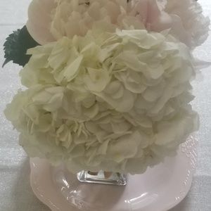 Meet your Posher, ley